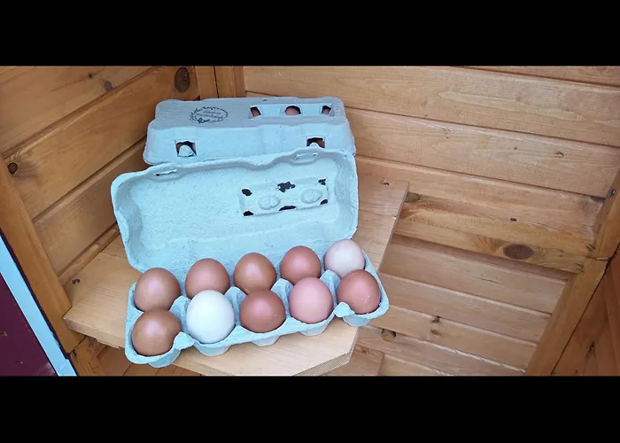 Feriehus Neu! Ostfriesenruhe